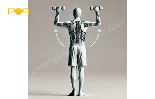 حرکات اصلاحی کیفوز - تمرین 2