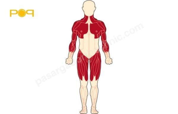 دیستروفی عضلانی بکر (BMD)
